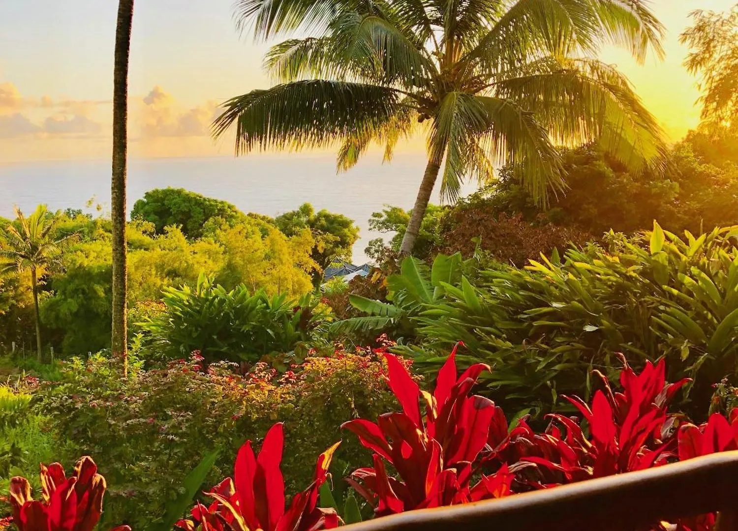 Maui Eco Retreat Apartment Huelo