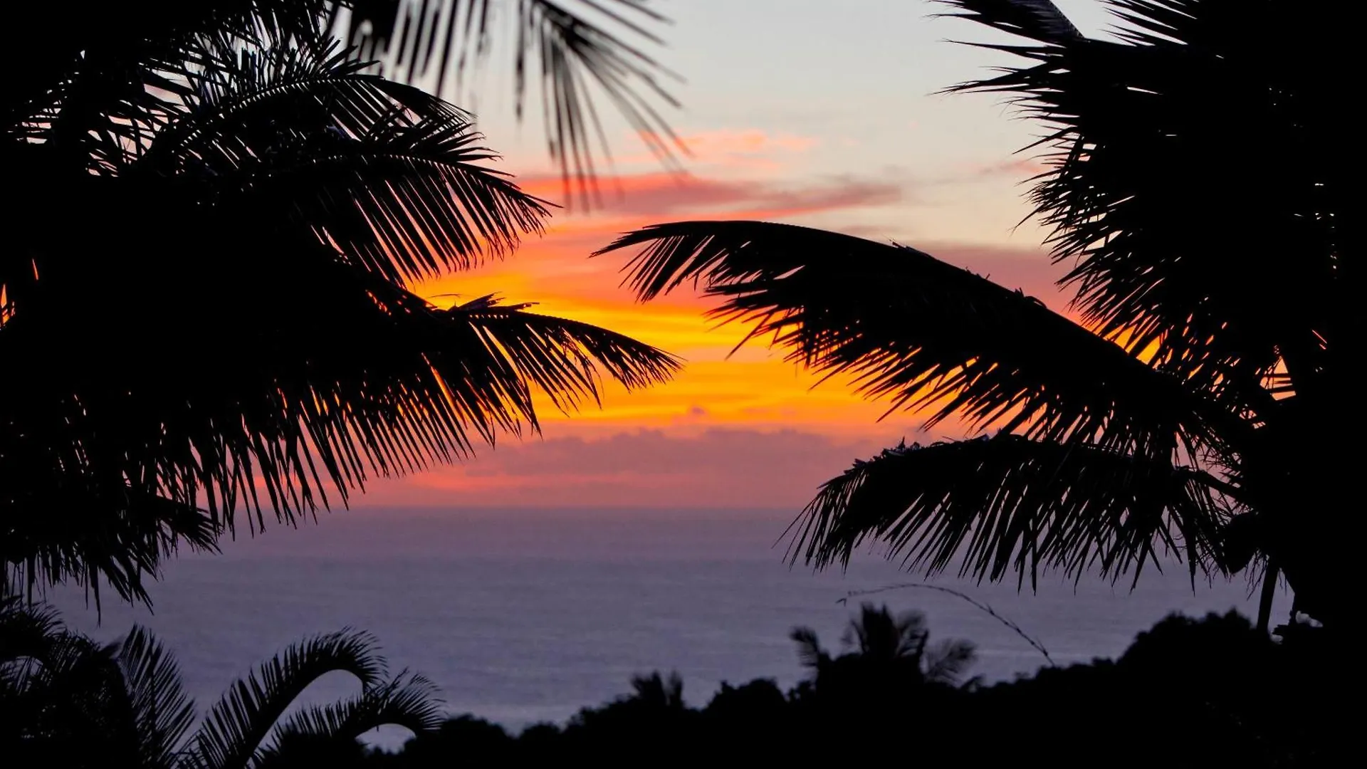Maui Eco Retreat Apartment Huelo 0*,  United States