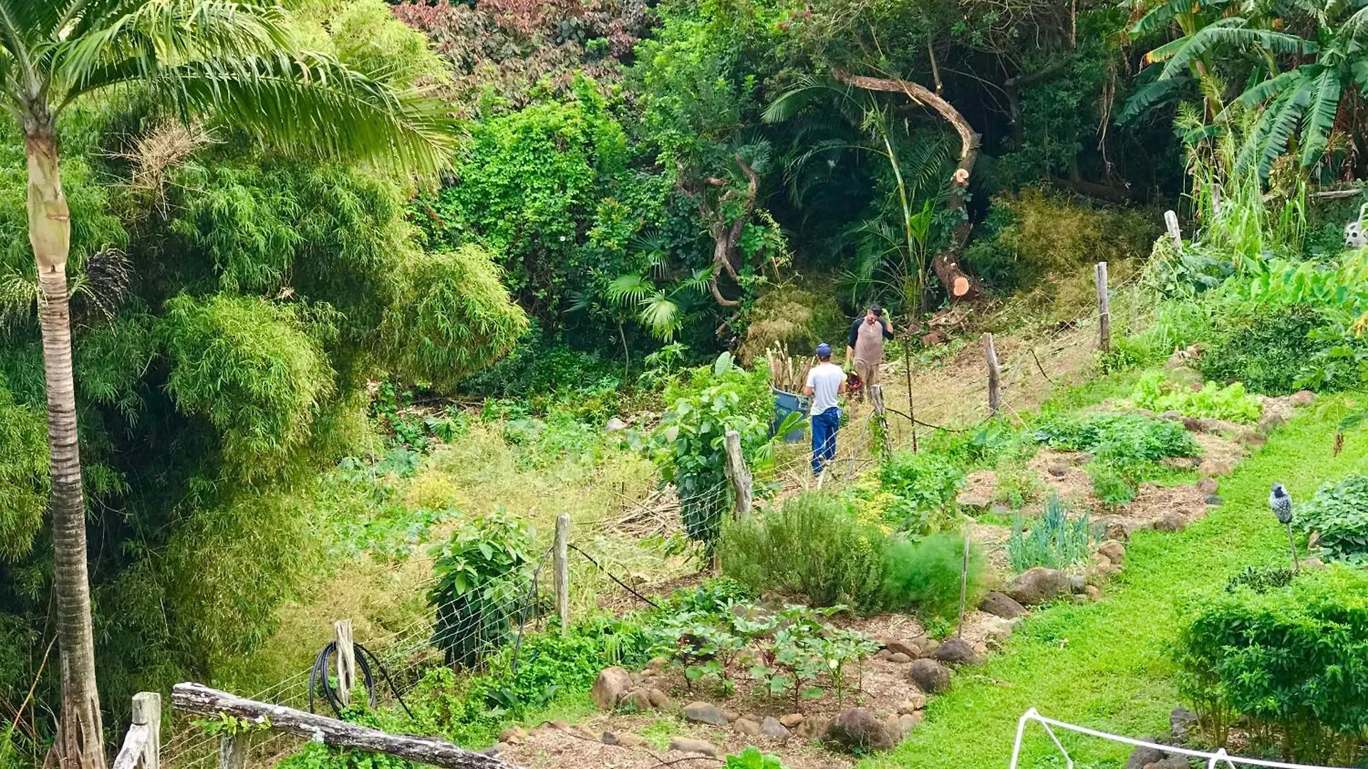 Maui Eco Retreat Apartment Huelo